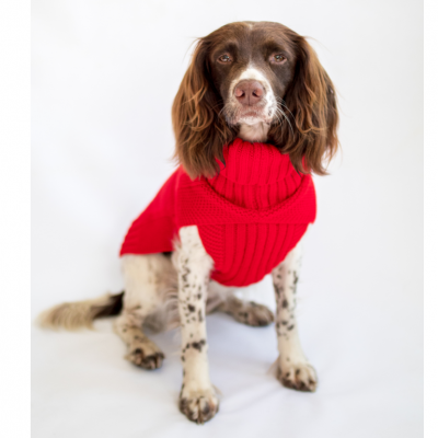 The Jazz Dog Jumper in Red 